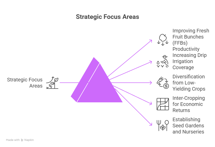 NMEO-OP_Focus _Areas